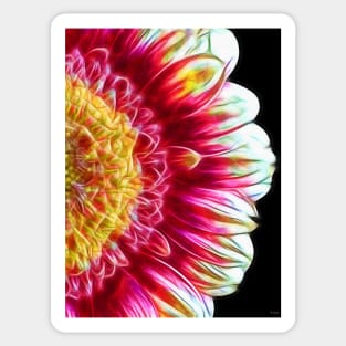 Gerbera Daisy Close Up Sticker